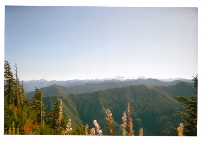 On Sore Thumb Ridge looking south, Mount Olympus in distance
